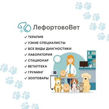 Ветеринарная клиника ЛефортовоВет фото 1