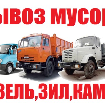 +7 989 989 43 43