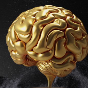 Capital Brain отзывы фото 1