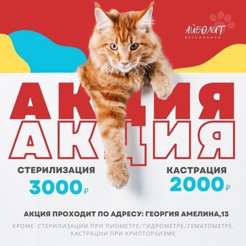 Ветеринарная клиника Айболит на улице Георгия Амелина фото 3
