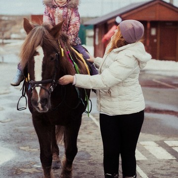 Конный клуб Возрождение фото 2