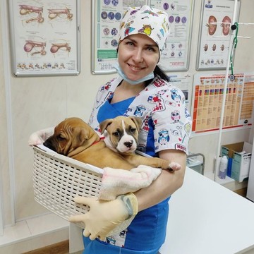 Ветеринарная клиника Аляска фото 1