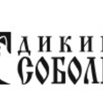 Дикий Соболь фото 1