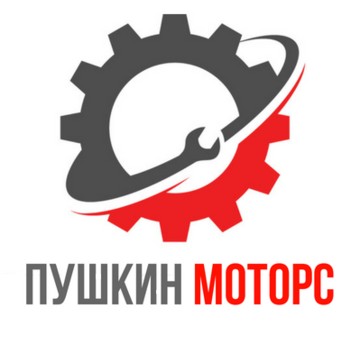 Пушкин Моторс фото 1
