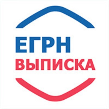 Юридическая компания ЕГРН выписка фото 1