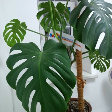 Дабл энтри Турагентство фото 2