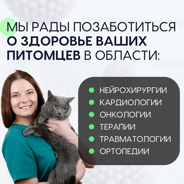 Хвостатая помощь фото 2
