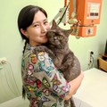 Фотография специалиста Аманшиева Альфия Мухамеджановна
