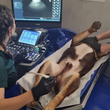 Ветклиника ionVet фото 3