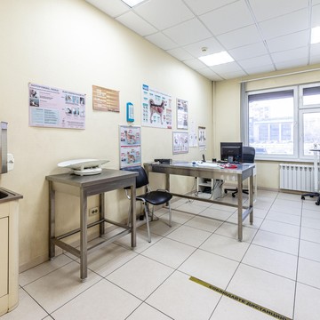 Ветеринарная клиника Амикус Вет на Комсомольском проспекте фото 3