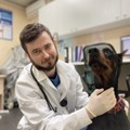 Фотография специалиста Леонтьев Василий Евгеньевич