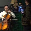 Фотография специалиста Цирин Василий Артёмович