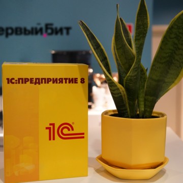 ИТ-компания 1С Первый БИТ фото 2