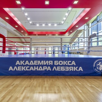 Академия бокса Александра Лебзяка фото 1