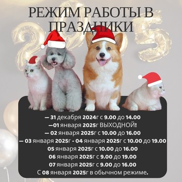 Ветеринарный центр Добрые руки фото 3