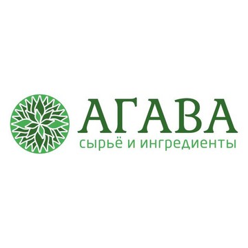 Агава чита