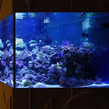 Подводный мир: изготовление и продажа аквариумов фото 3
