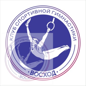 Клуб спортивной гимнастики Восход в Сормовском проезде фото 3