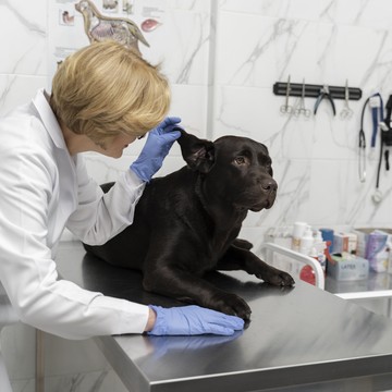 Ветеринарная клиника PetHealth 24 фото 1