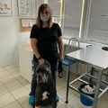 Фотография специалиста Коневская Маргарита Вадимовна