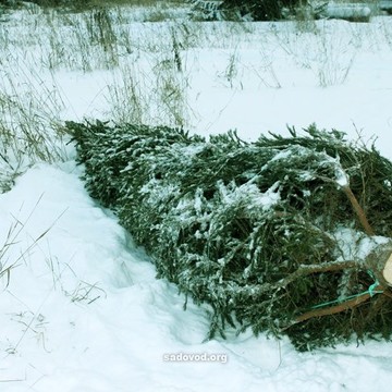 Компания Sadovod.org на Звенигородском шоссе фото 3