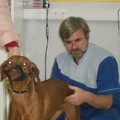 Фотография специалиста Судаков Алексей Валентинович