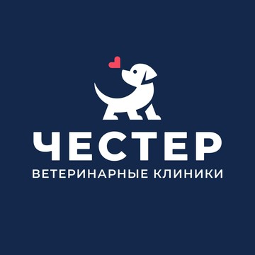 Ветеринарный центр Честер на проспекте Испытателей фото 1