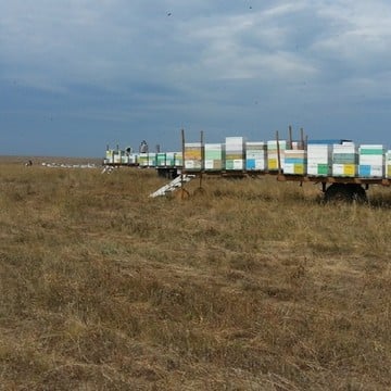 Интернет-магазин продуктов пчеловодства Пчеловод Василий Рудобелец фото 2
