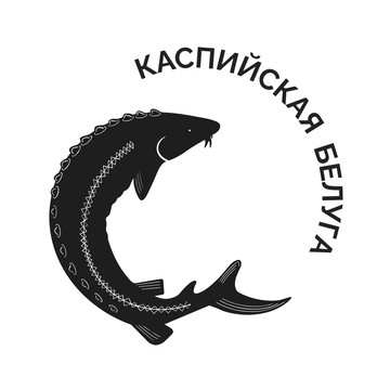Каспийская белуга фото 1