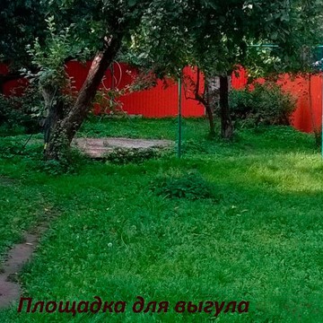 Зоогостиница &quot;Сказка&quot; фото 2