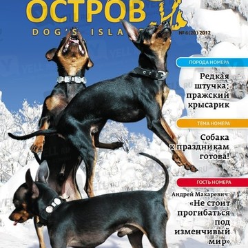 Собачий Остров DOGS ISLAND фото 3