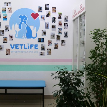 Ветеринарная клиника Vetlife фото 3