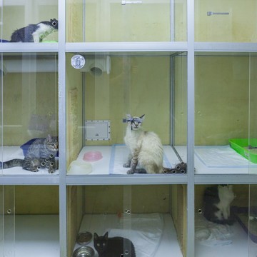 Ветеринарная клиника Вентура на Восточно-Кругликовской улице фото 3