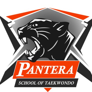 школа тхэквондо Пантера фото 1