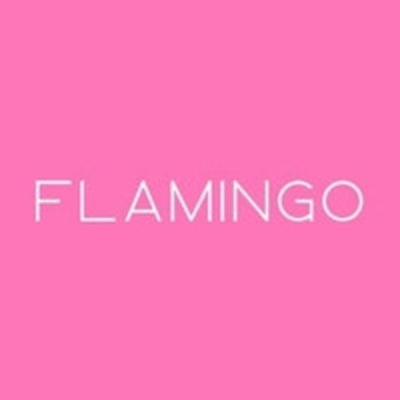 Flamingo Stretching фото 1