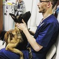 Фотография специалиста Соснов Даниил Денисович