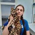 Фотография специалиста Чернухина Татьяна Федоровна