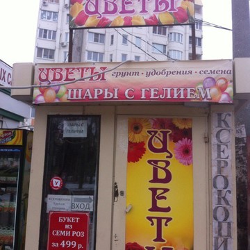 Цветы на Ростовской улице фото 1