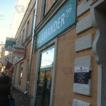 Salamander в Химках фото 2