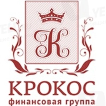 Финансовая группа Крокос на Революционной улице фото 3