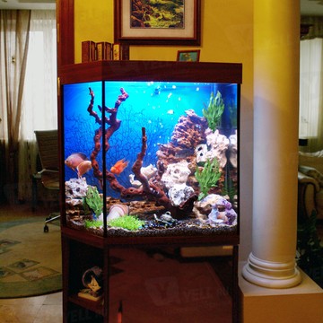 Студия аквариумов Глубина на Телевизорной улице фото 2