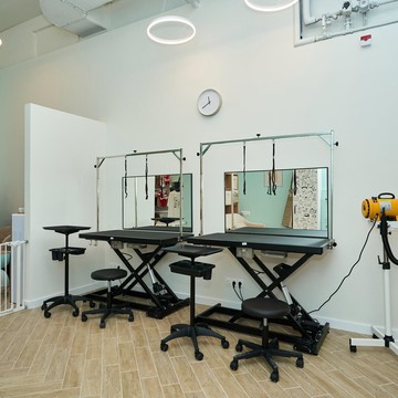 Студия груминга Вуки фото 2