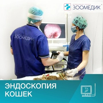 Ветеринарная клиника Зоомедик на Ленинском проспекте фото 3