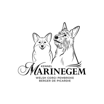 Marinegem фото 1