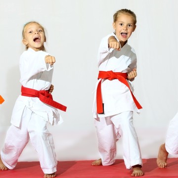 Федерация Джиу-Джитсу - спортивная секция для детей с 4 лет фото 1