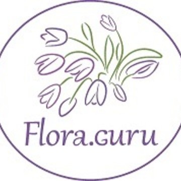 Компания флористических решений Flora.Guru фото 1
