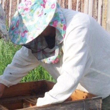Мёд и Продукты Пчеловодства фото 3