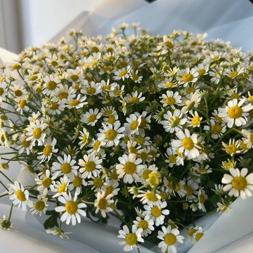 Магазин цветов SunRosse фото 3