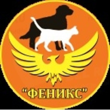 Ветеринарная клиника Феникс в Октябрьском округе фото 1