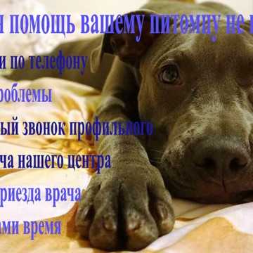 Ветеринарный центр Балу на улице Ленина фото 3
